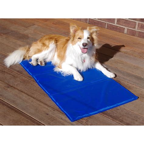 pet cooling mat bunnings.